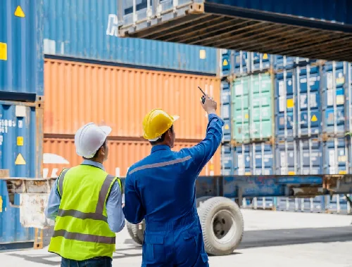 Container planning for bulk pulse imports to India